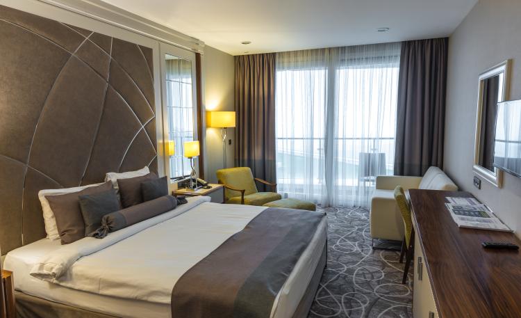 superior-kingtwin-nomer-s-vidom-na-gory